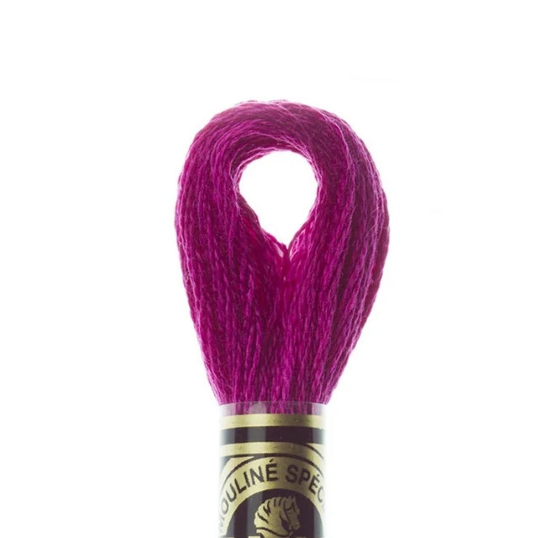 DMC Stranded Cotton Mouliné Spécial Embroidery Thread (917)