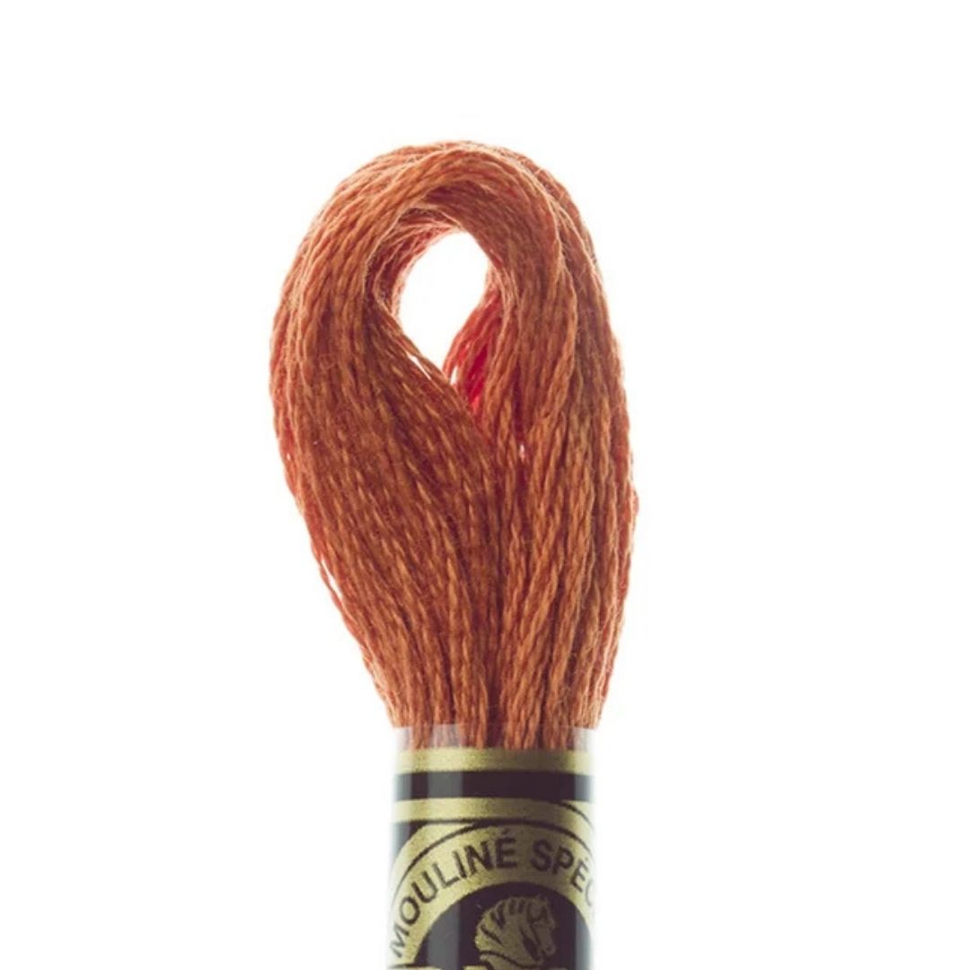 DMC Stranded Cotton Mouliné Spécial Embroidery Thread (921)