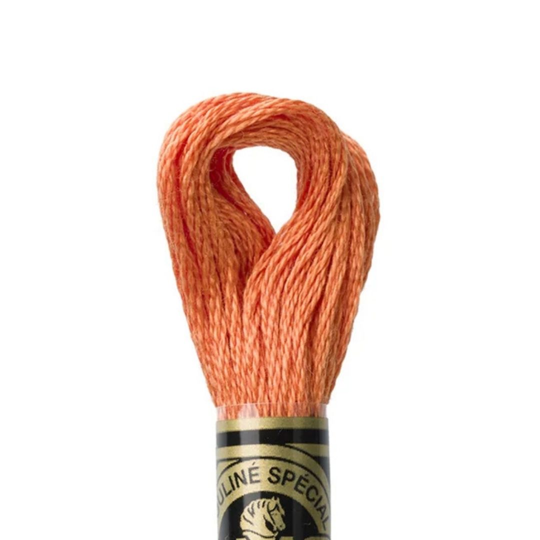 DMC Stranded Cotton Mouliné Spécial Embroidery Thread (922)