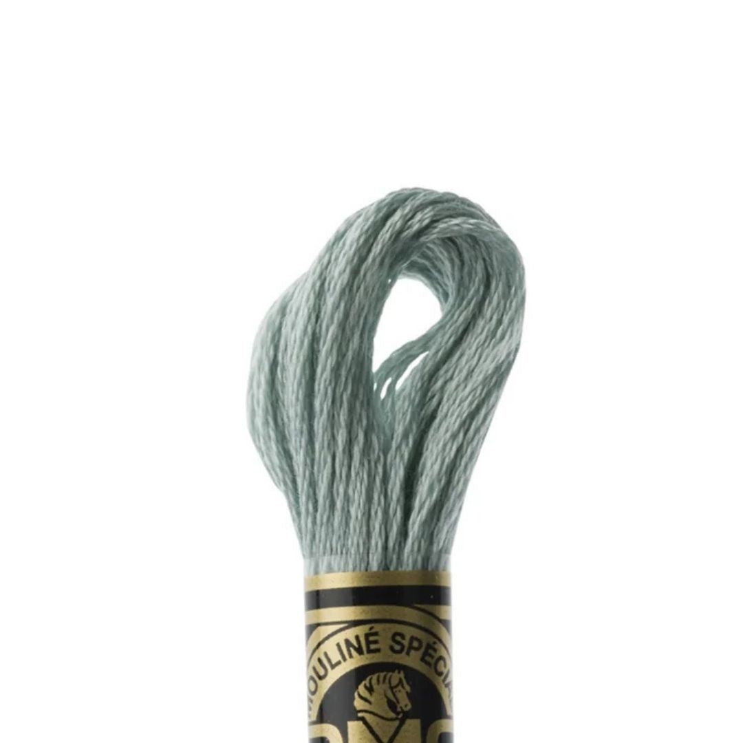 DMC Stranded Cotton Mouliné Spécial Embroidery Thread (927)