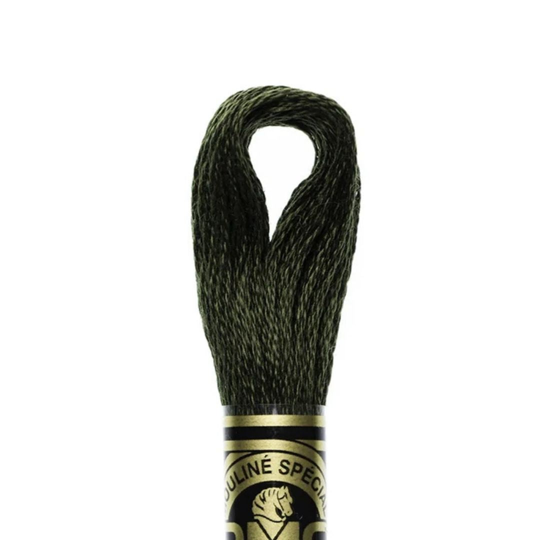 DMC Stranded Cotton Mouliné Spécial Embroidery Thread (934)