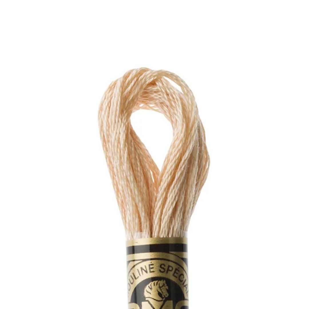 DMC Stranded Cotton Mouliné Spécial Embroidery Thread (945)