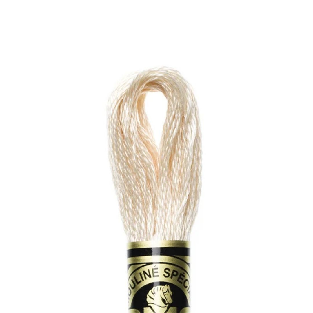 DMC Stranded Cotton Mouliné Spécial Embroidery Thread (943)