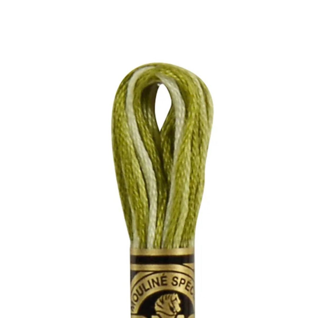 DMC Stranded Cotton Mouliné Spécial Embroidery Thread (94)