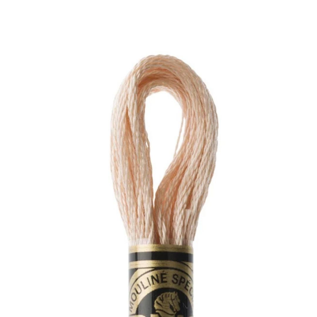 DMC Stranded Cotton Mouliné Spécial Embroidery Thread (950)