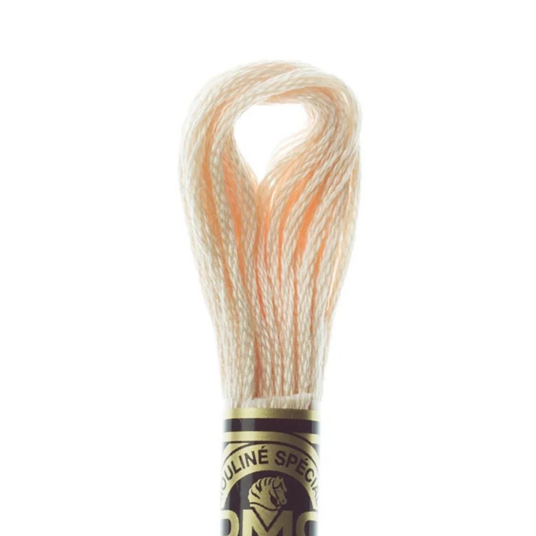 DMC Stranded Cotton Mouliné Spécial Embroidery Thread (951)