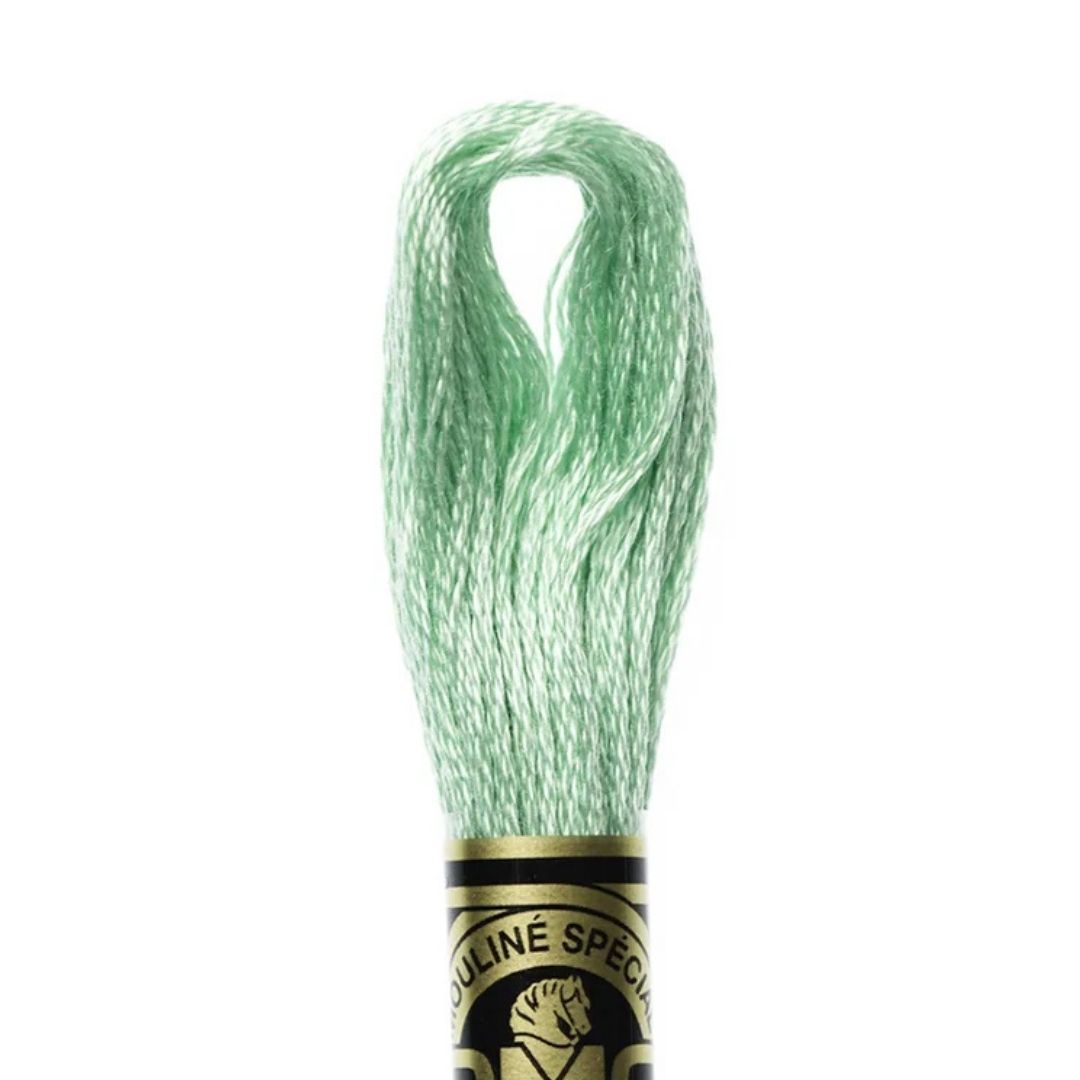 DMC Stranded Cotton Mouliné Spécial Embroidery Thread (954)