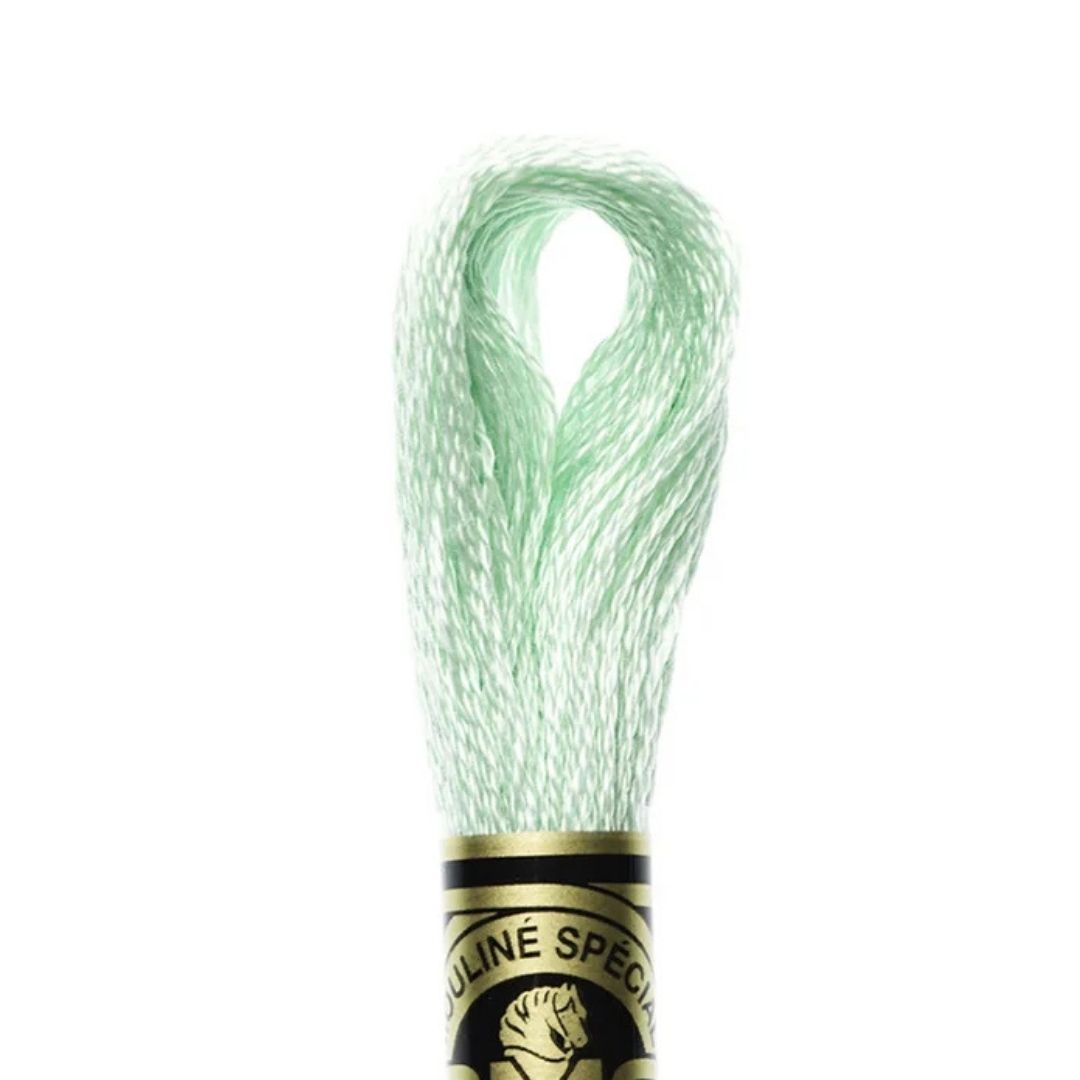 DMC Stranded Cotton Mouliné Spécial Embroidery Thread (955)