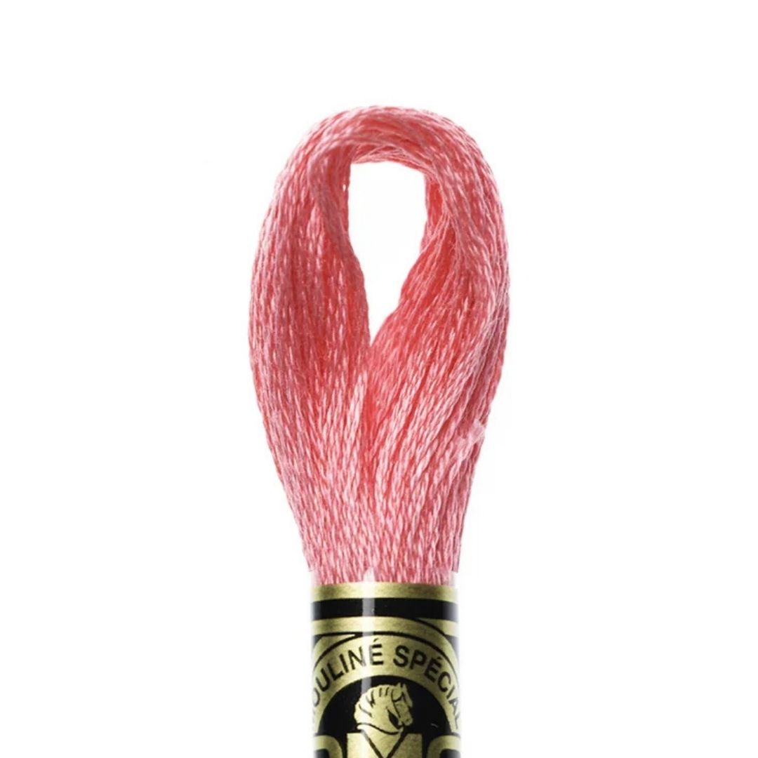 DMC Stranded Cotton Mouliné Spécial Embroidery Thread (956)