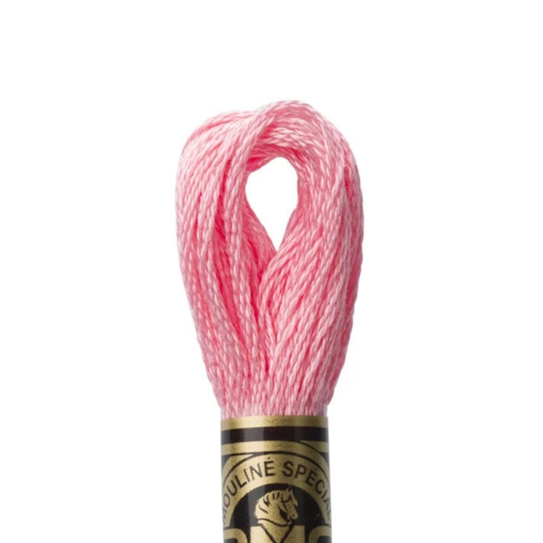DMC Stranded Cotton Mouliné Spécial Embroidery Thread (957)