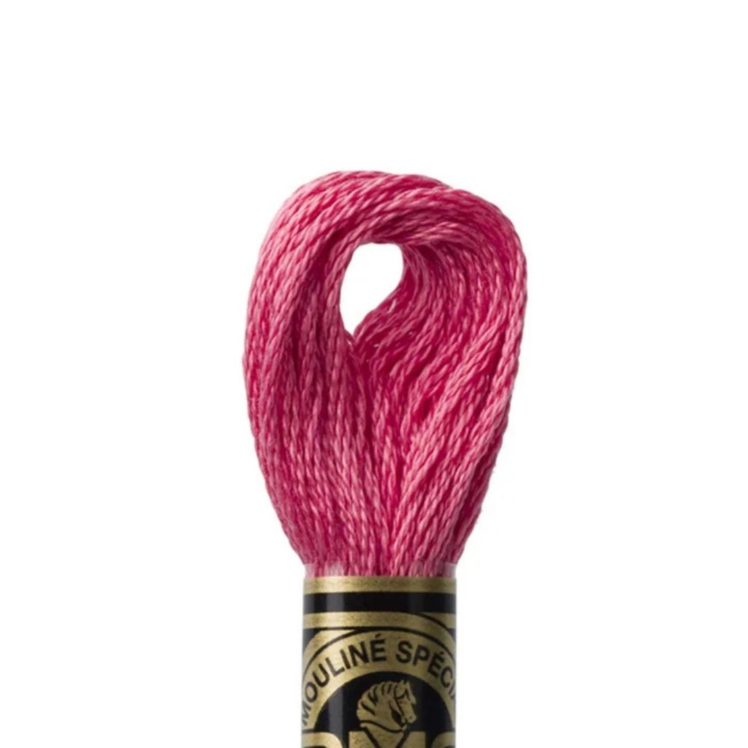 DMC Stranded Cotton Mouliné Spécial Embroidery Thread (961)