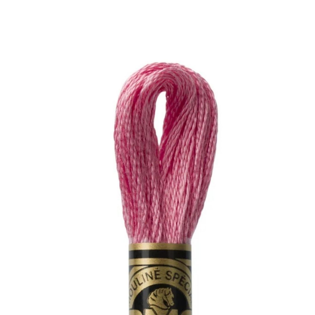 DMC Stranded Cotton Mouliné Spécial Embroidery Thread (962)