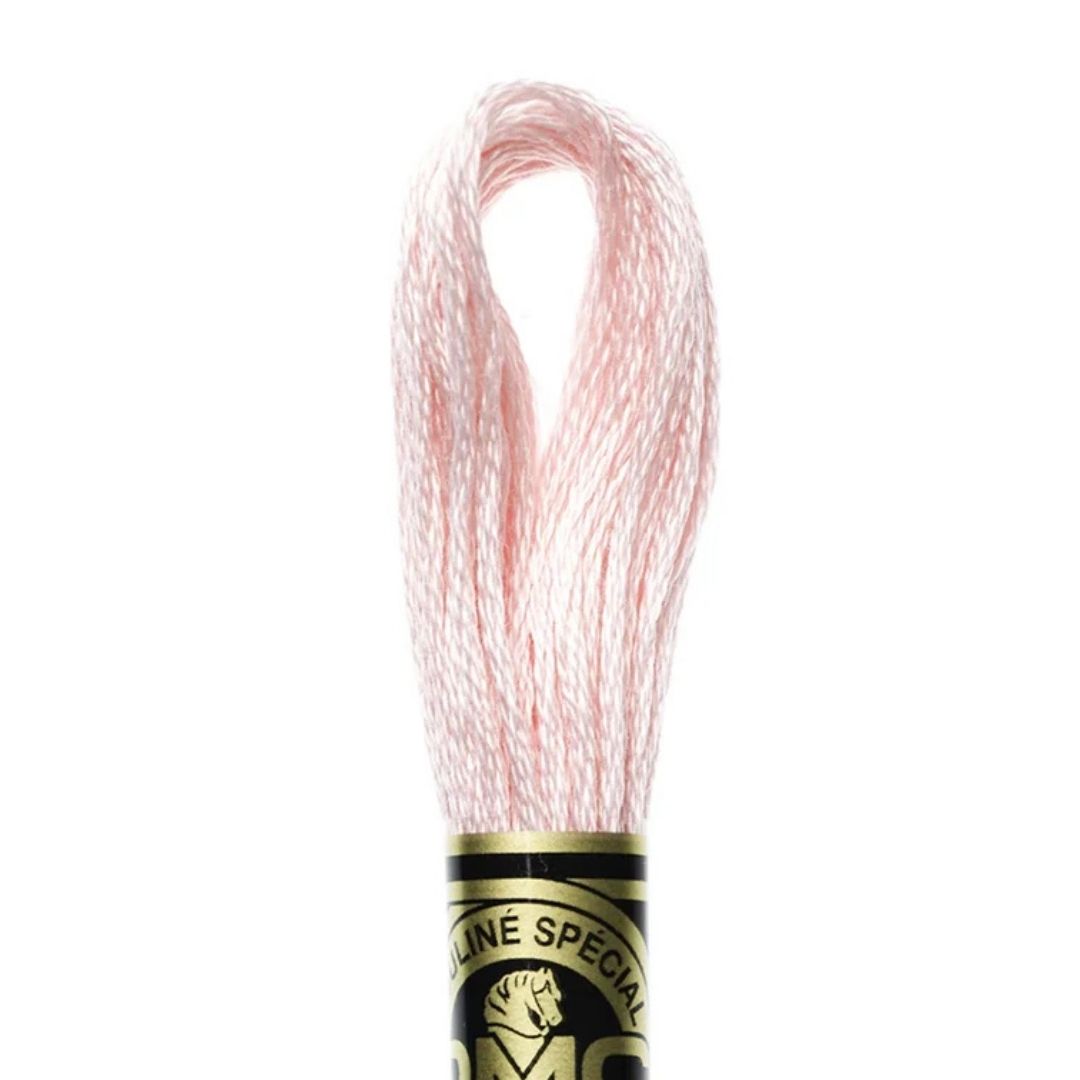 DMC Stranded Cotton Mouliné Spécial Embroidery Thread (963)