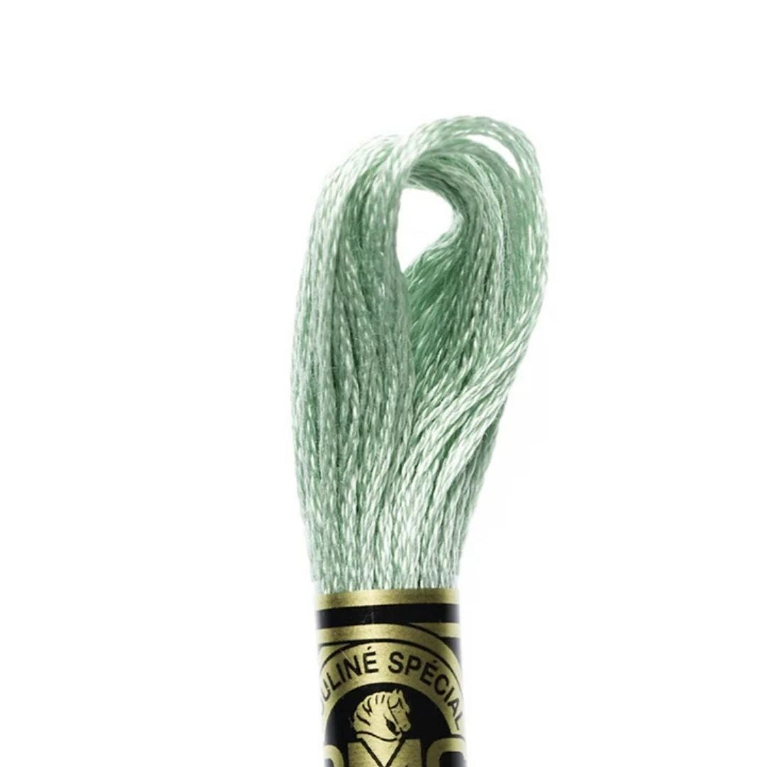 DMC Stranded Cotton Mouliné Spécial Embroidery Thread (966)