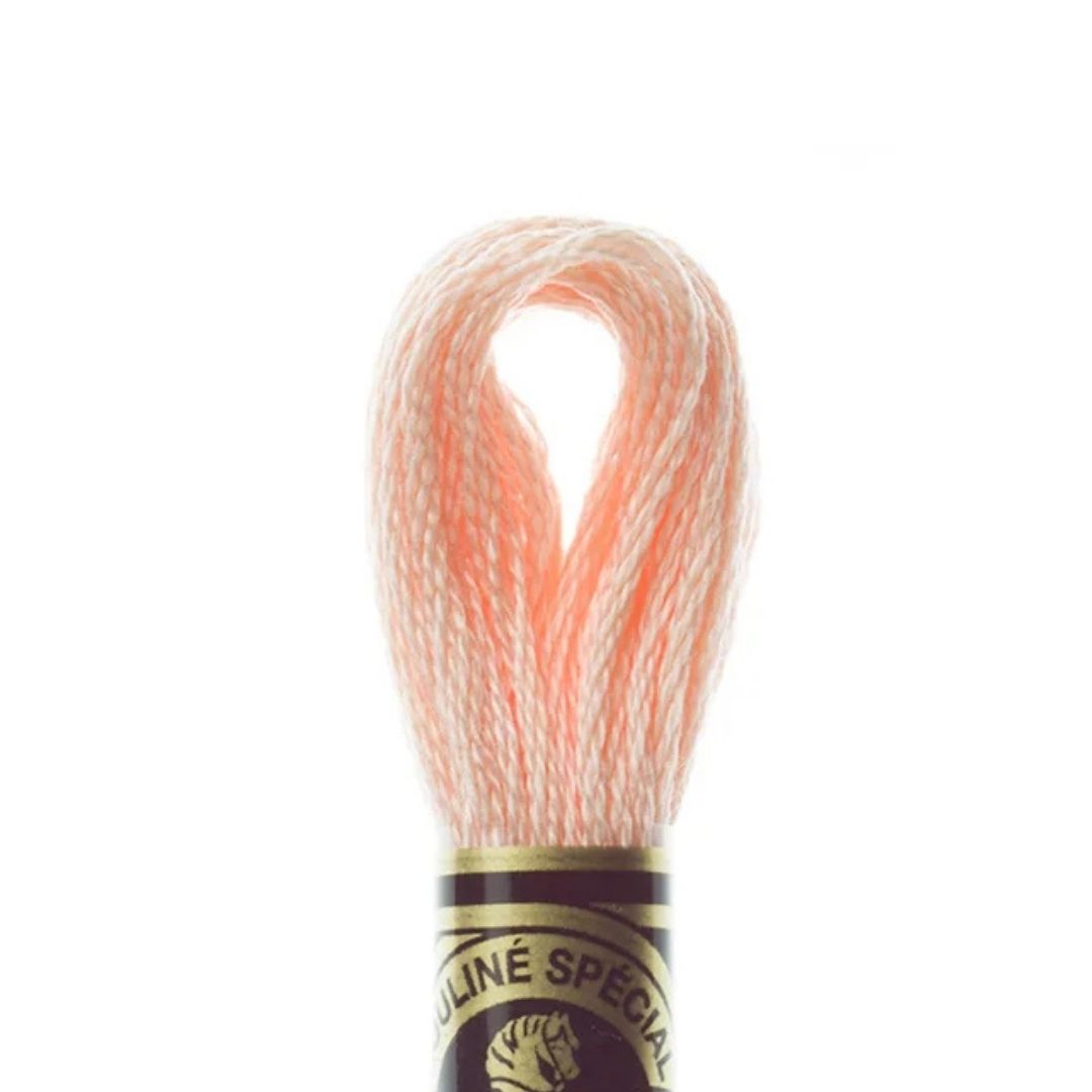 DMC Stranded Cotton Mouliné Spécial Embroidery Thread (967)