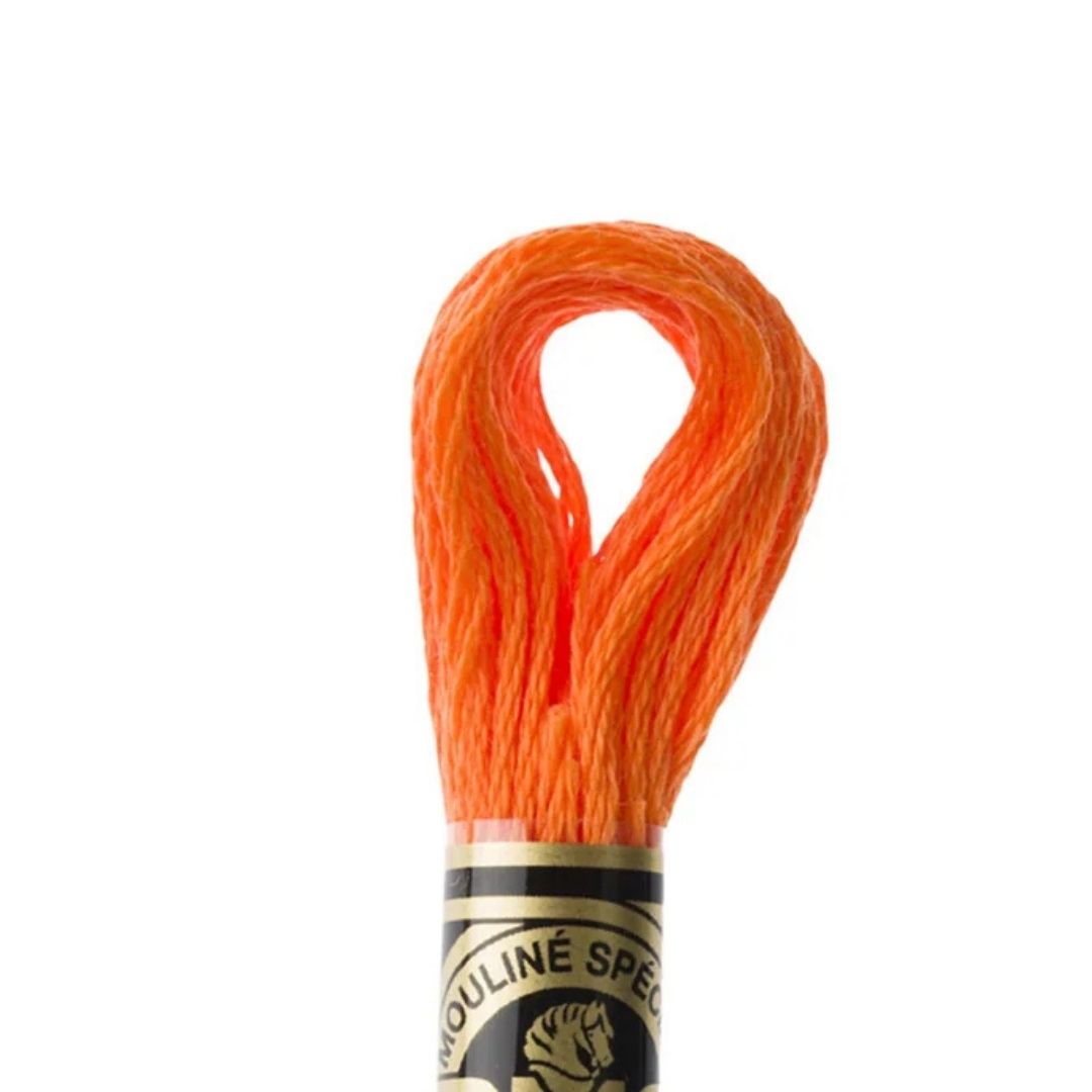 DMC Stranded Cotton Mouliné Spécial Embroidery Thread (970)