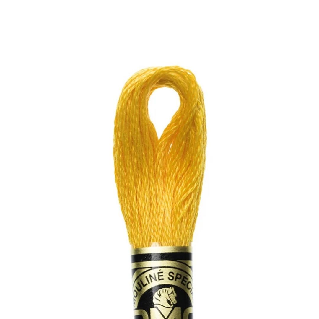 DMC Stranded Cotton Mouliné Spécial Embroidery Thread (972)