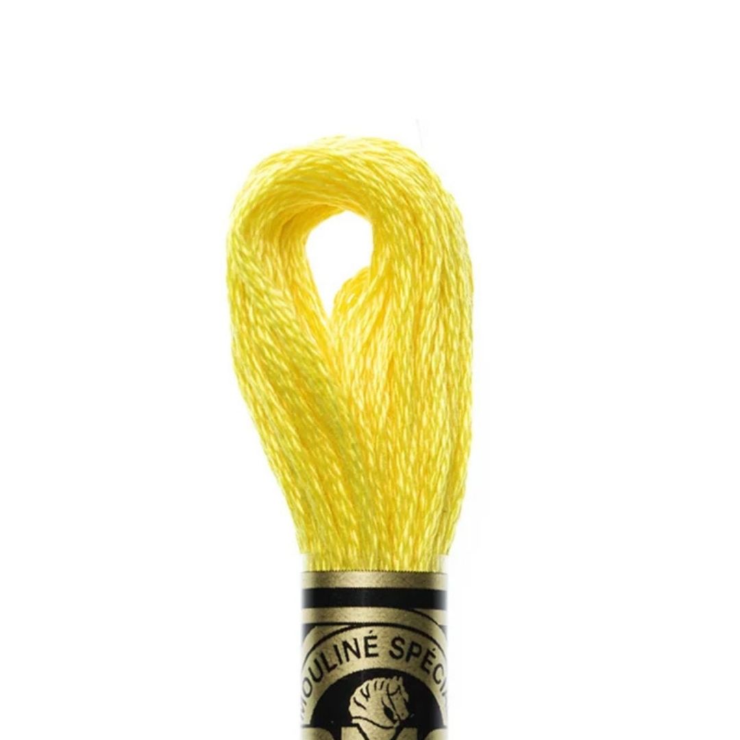 DMC Stranded Cotton Mouliné Spécial Embroidery Thread (973)