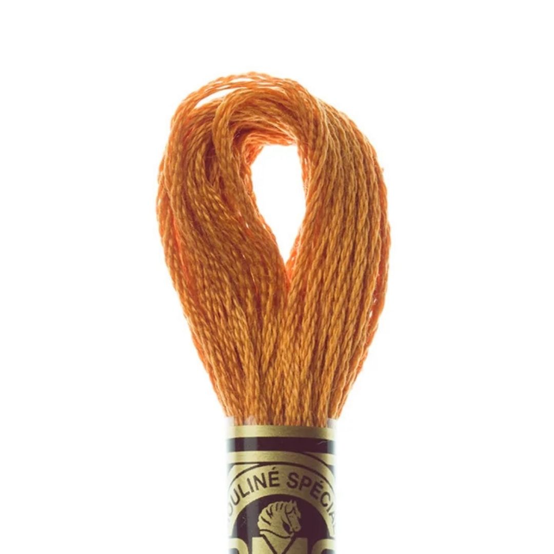 DMC Stranded Cotton Mouliné Spécial Embroidery Thread (976)