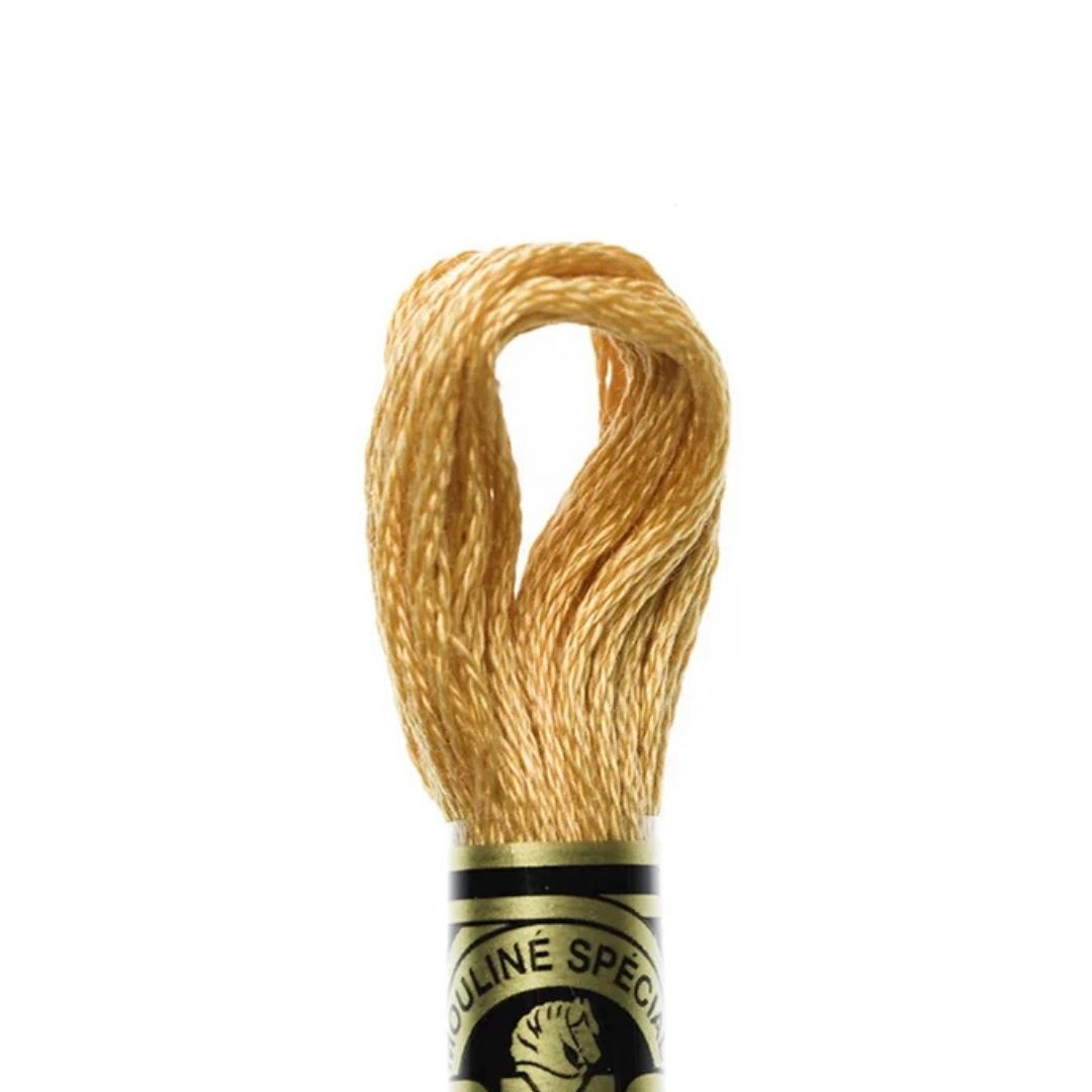 DMC Stranded Cotton Mouliné Spécial Embroidery Thread (977)