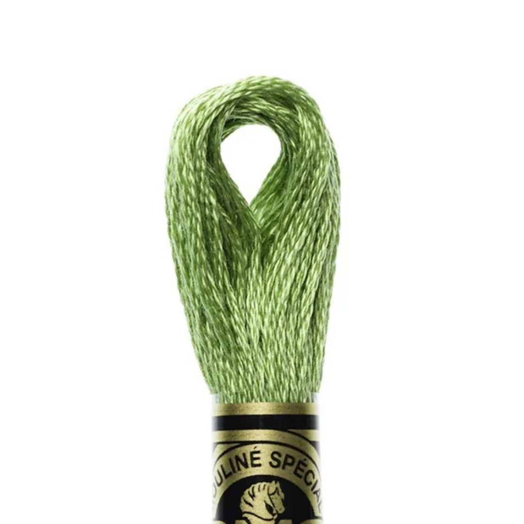DMC Stranded Cotton Mouliné Spécial Embroidery Thread (989)