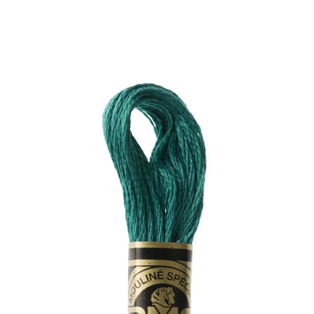 DMC Stranded Cotton Mouliné Spécial Embroidery Thread (991)