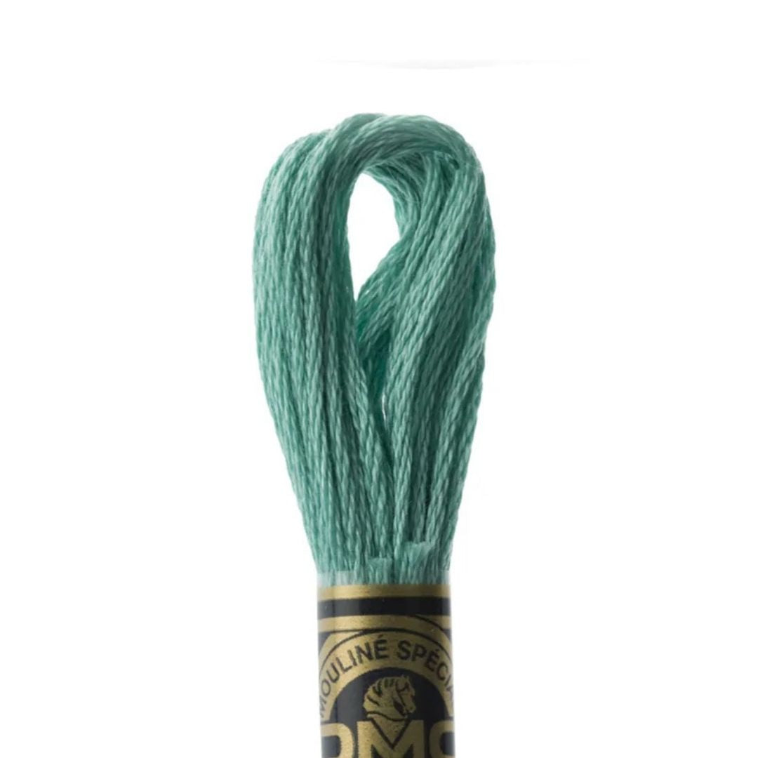 DMC Stranded Cotton Mouliné Spécial Embroidery Thread (993)