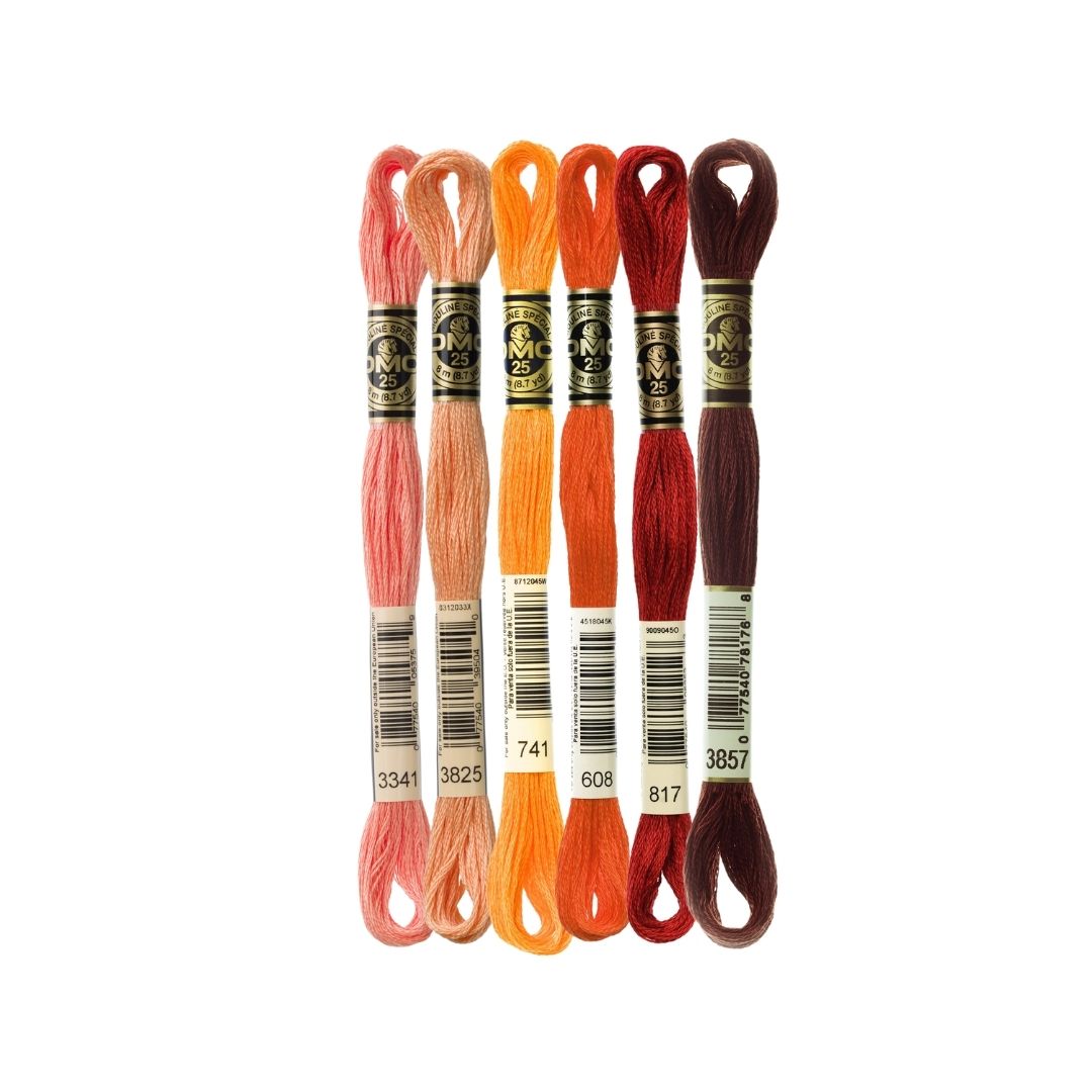 DMC Stranded Cotton Mouliné Spécial Embroidery Thread Colour Pack (A Strong Statement)