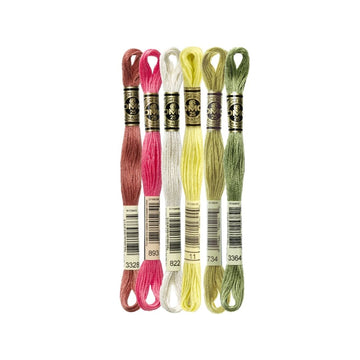 DMC Stranded Cotton Mouliné Spécial Embroidery Thread Colour Pack (A Sweet Treat)