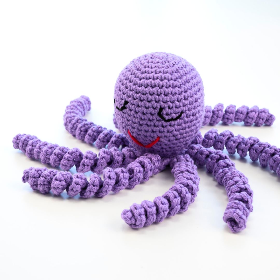 One-on-One Sleeping Octopus Amigurumi Workshop