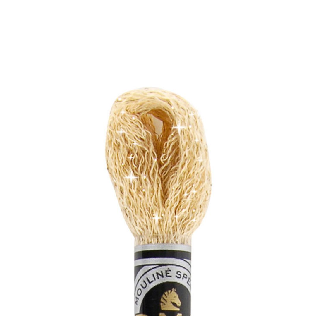 DMC Mouliné Étoile Embroidery Thread (C738)