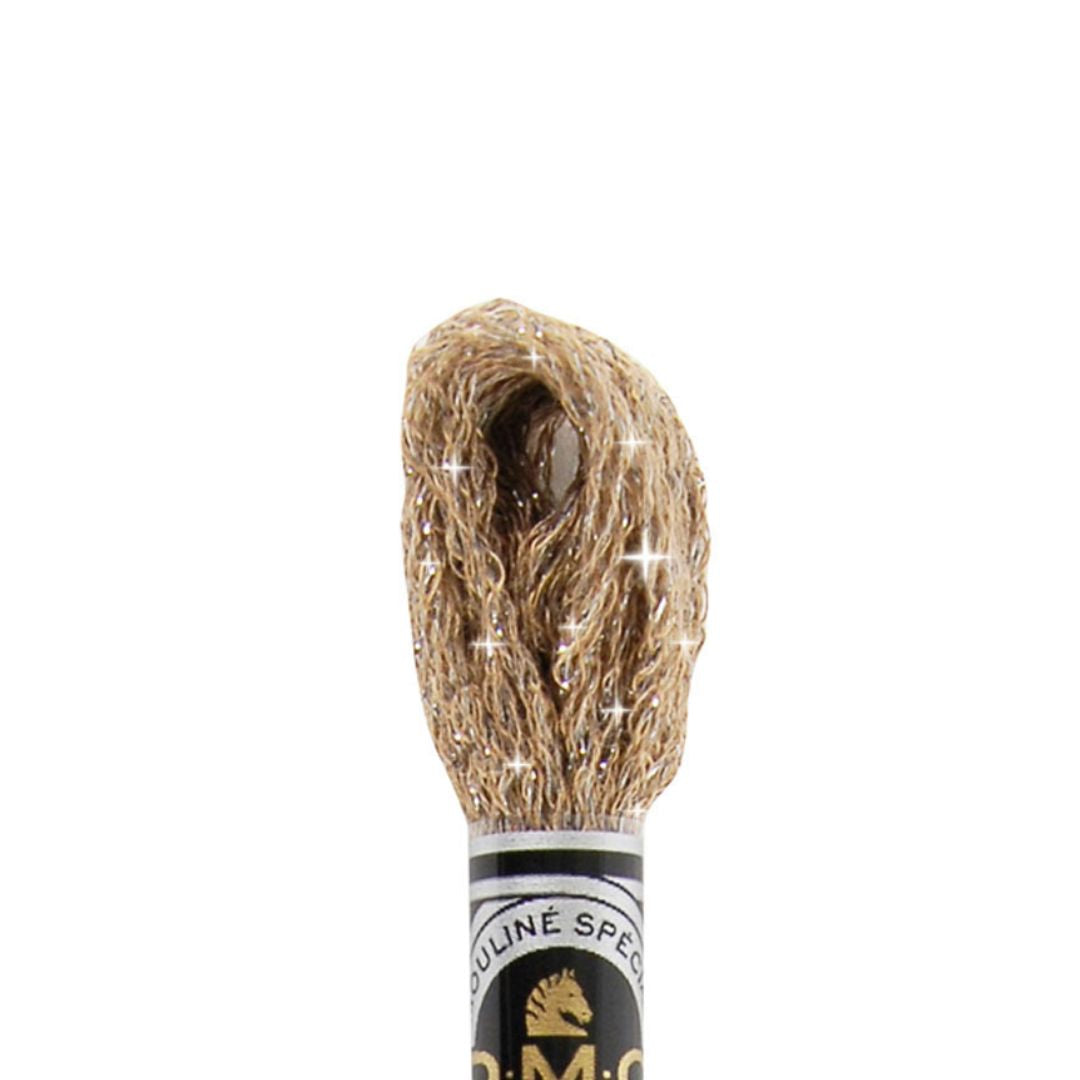 DMC Mouliné Étoile Embroidery Thread (C840)