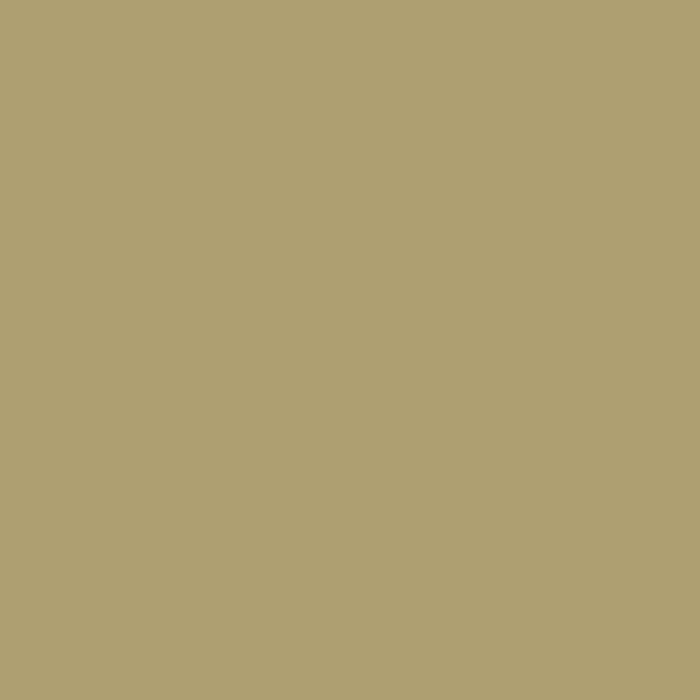 Gio-Flex VC Heat Transfer Vinyl (Cappuccino)