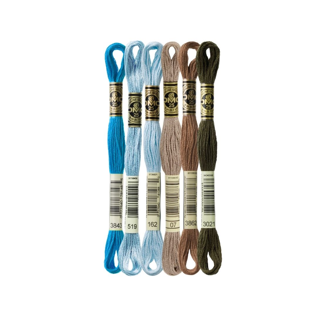 DMC Stranded Cotton Mouliné Spécial Embroidery Thread Colour Pack (Coconut Care)