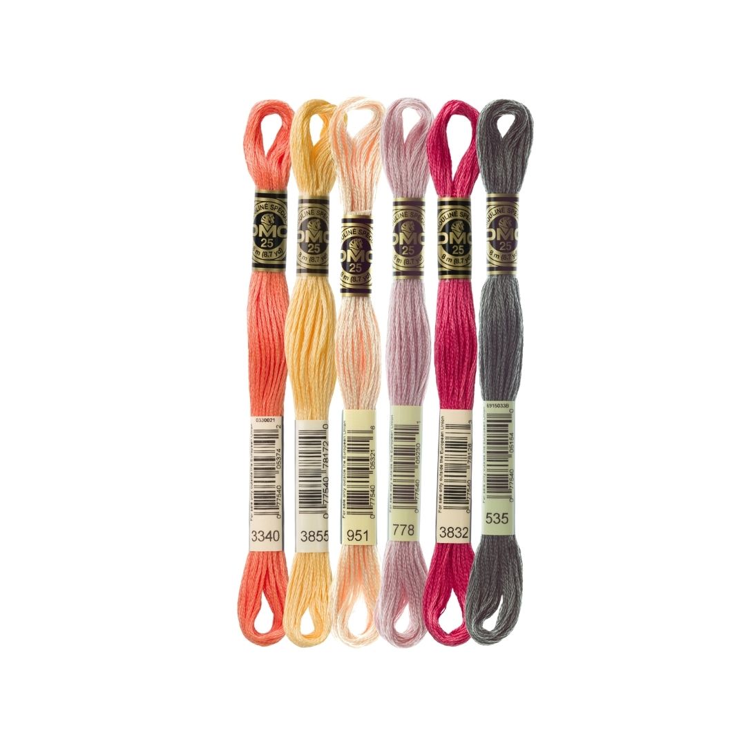 DMC Stranded Cotton Mouliné Spécial Embroidery Thread Colour Pack (Colours and Rocks)