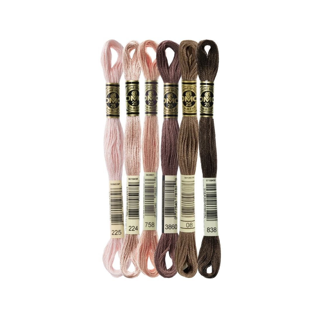 DMC Stranded Cotton Mouliné Spécial Embroidery Thread Colour Pack (Delicious Sepia)