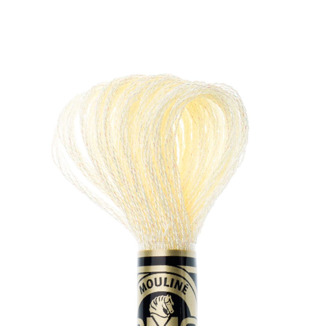 DMC Mouliné Light Effects Embroidery Thread (E746)