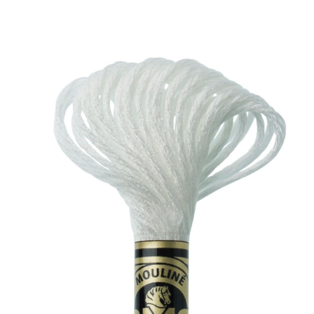 DMC Mouliné Light Effects Embroidery Thread (E940)