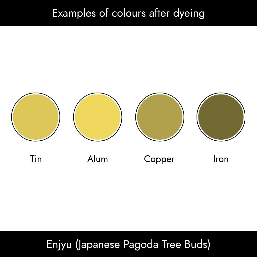Aikuma Natural Dyes (Enjyu)