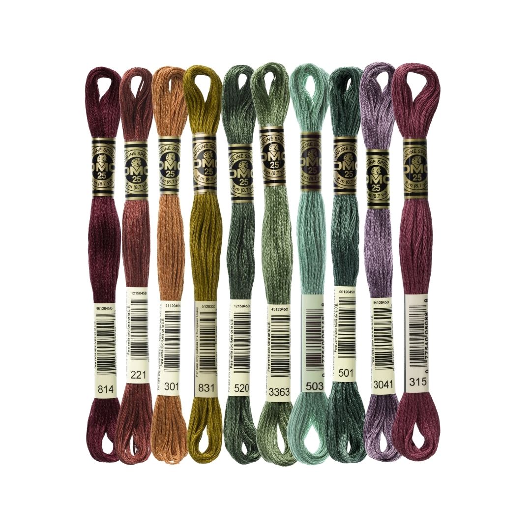DMC Stranded Cotton Mouliné Spécial Embroidery Thread Colour Pack (Eucalyptus)