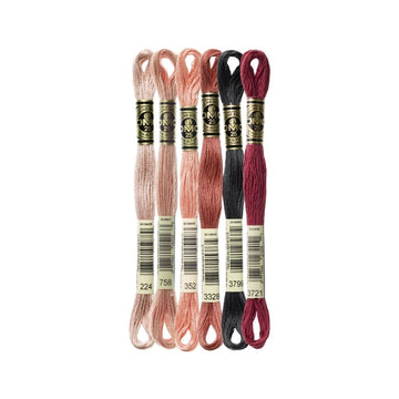 DMC Stranded Cotton Mouliné Spécial Embroidery Thread Colour Pack (Flamboyant Flamingo)
