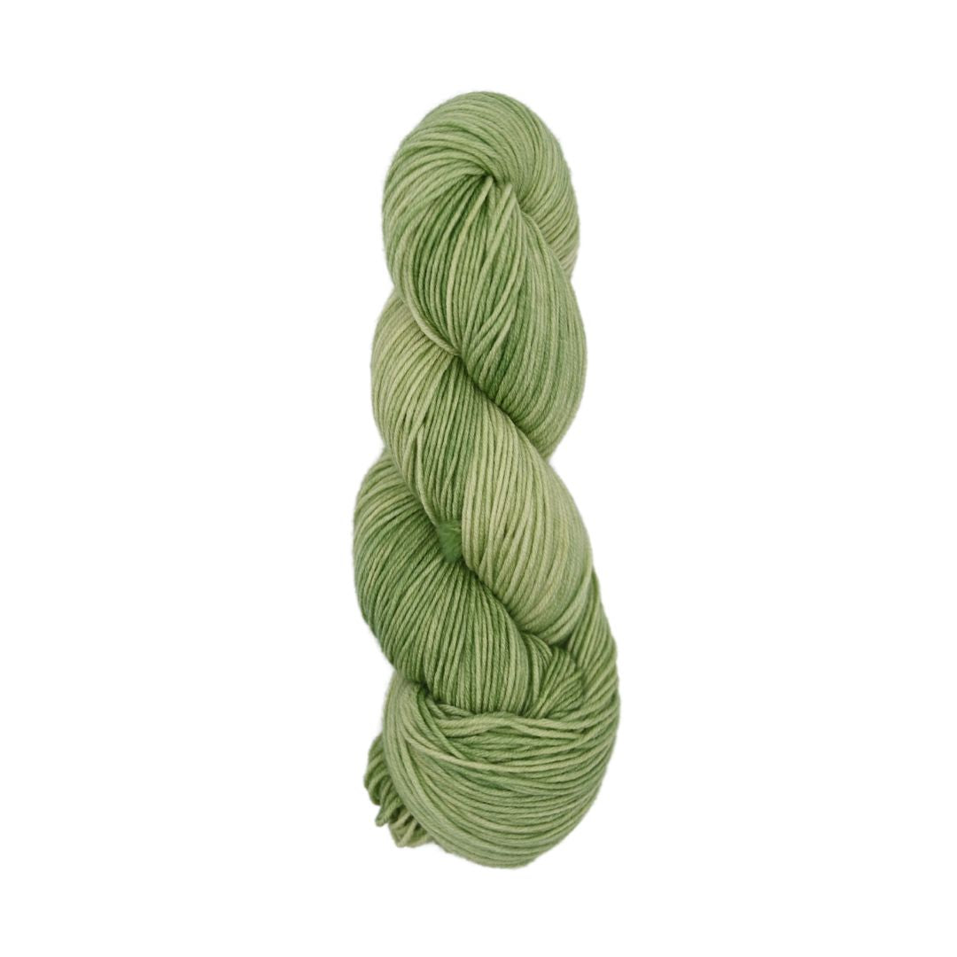 Roya Merino DK Yarn (Forest 01)