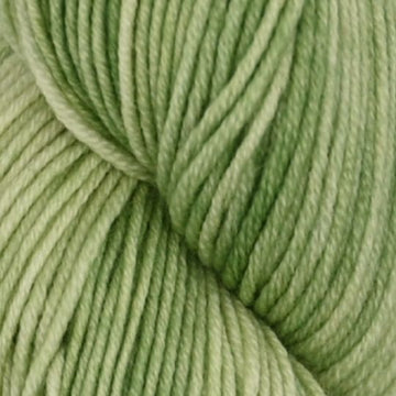 Roya Merino DK Yarn (The Tonal Shades)