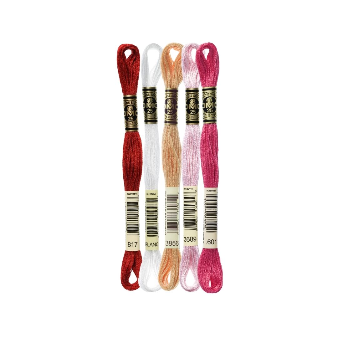 DMC Stranded Cotton Mouliné Spécial Embroidery Thread Colour Pack (Funny Valentine)