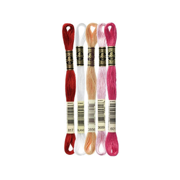 DMC Stranded Cotton Mouliné Spécial Embroidery Thread Colour Pack (Funny Valentine)