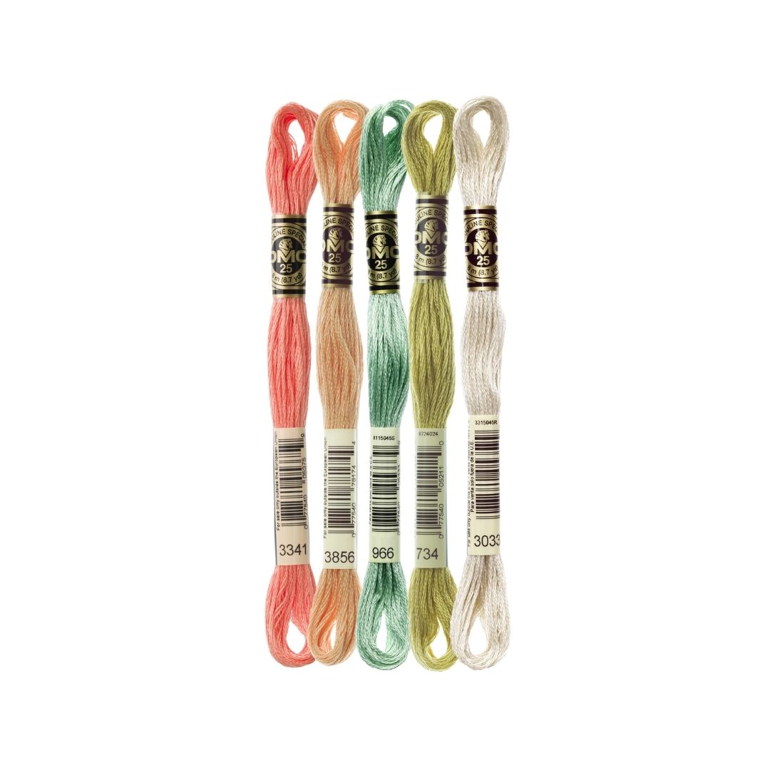 DMC Stranded Cotton Mouliné Spécial Embroidery Thread Colour Pack (Honeysuckle)