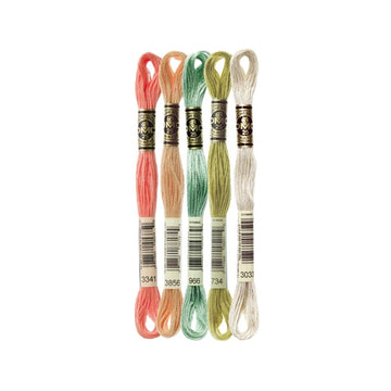 DMC Stranded Cotton Mouliné Spécial Embroidery Thread Colour Pack (Honeysuckle)
