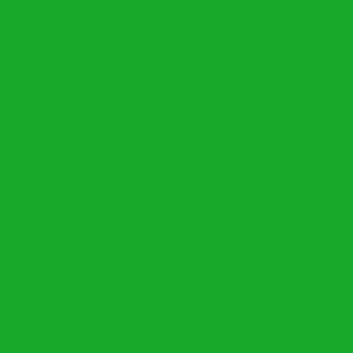 Gio-Flex VC Heat Transfer Vinyl (Light Green)