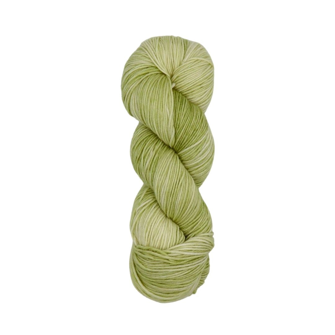 Roya Merino DK Yarn (Lichen 01)