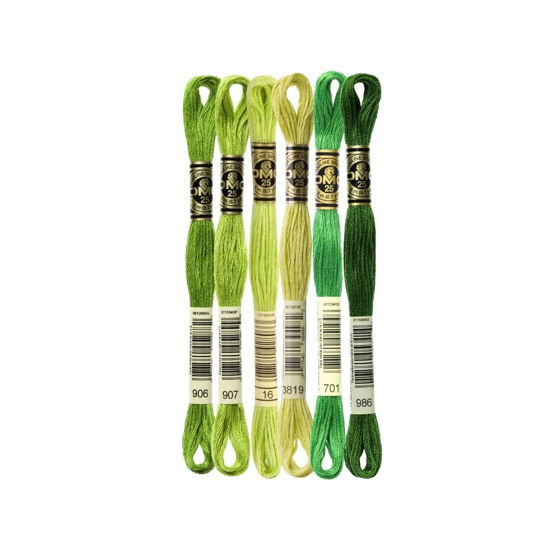 DMC Stranded Cotton Mouliné Spécial Embroidery Thread Colour Pack (Limes on Display)